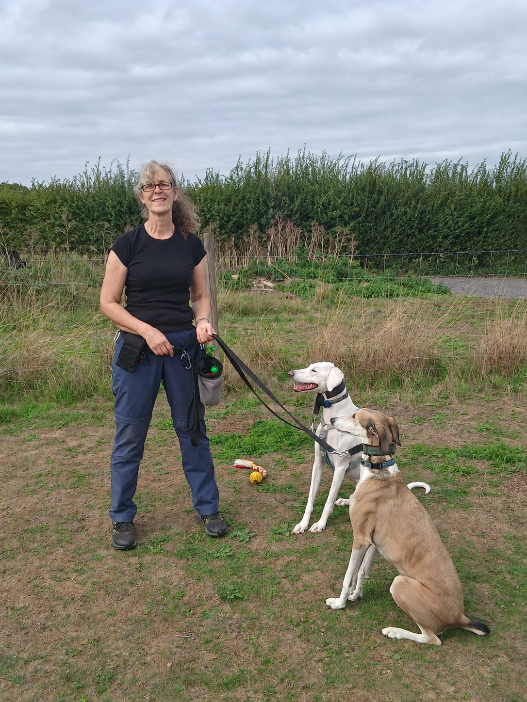 Lead and Succeed dog trainer with a dog