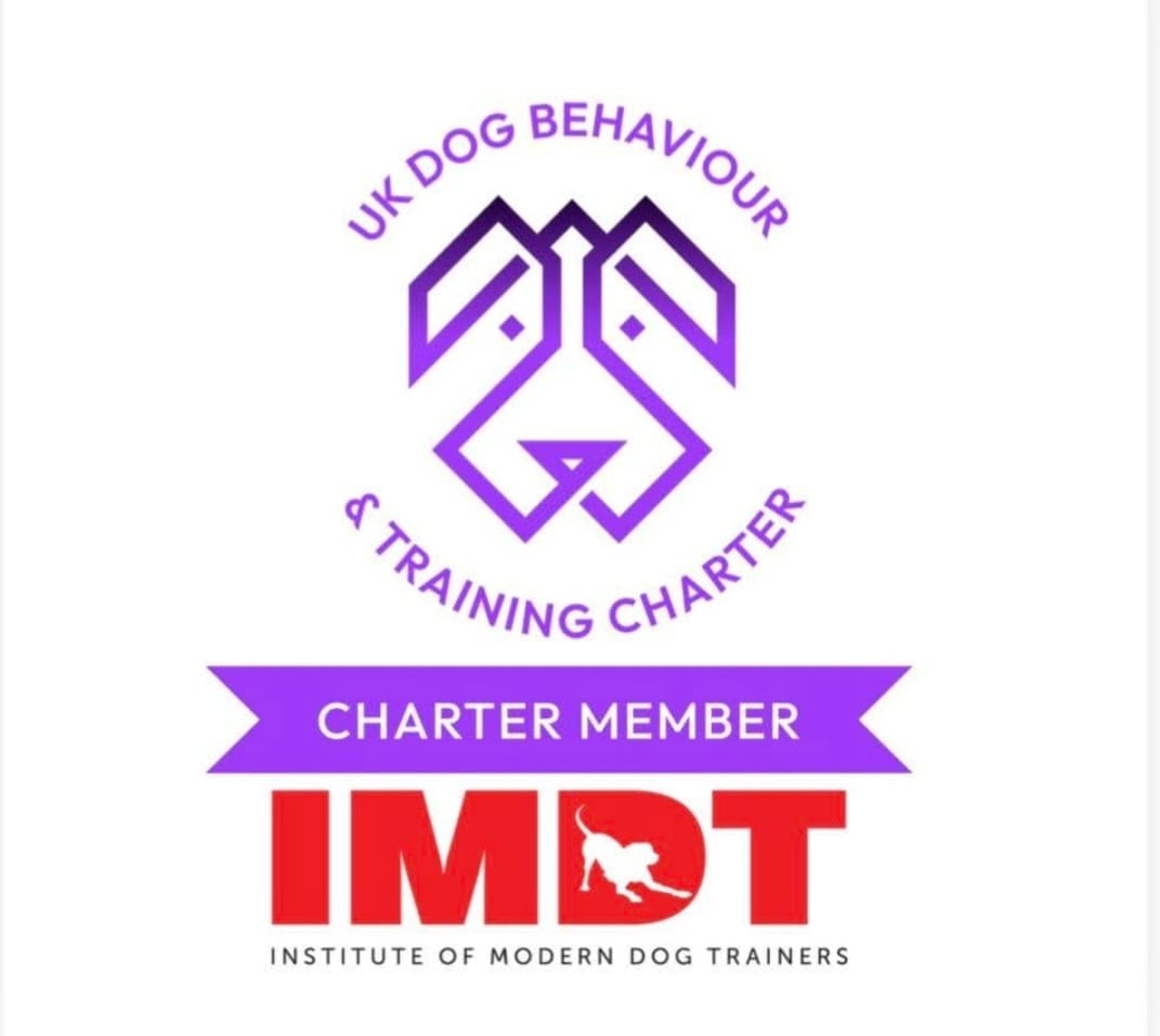 UK Dog Behaviour & Training Charter member and IMDT Institute of Modern Dog Trainers