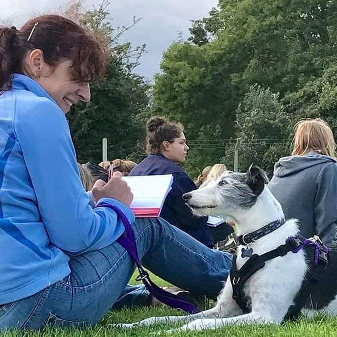 Behaviour Support